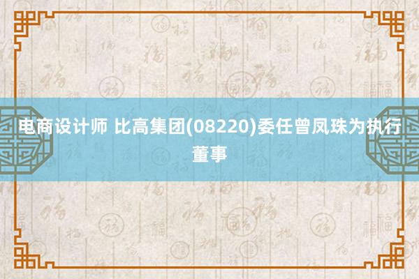 电商设计师 比高集团(08220)委任曾凤珠为执行董事